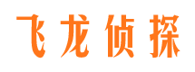 田林背景调查